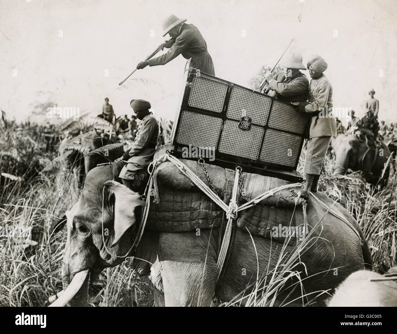 King V hunting Stock Photo Alamy