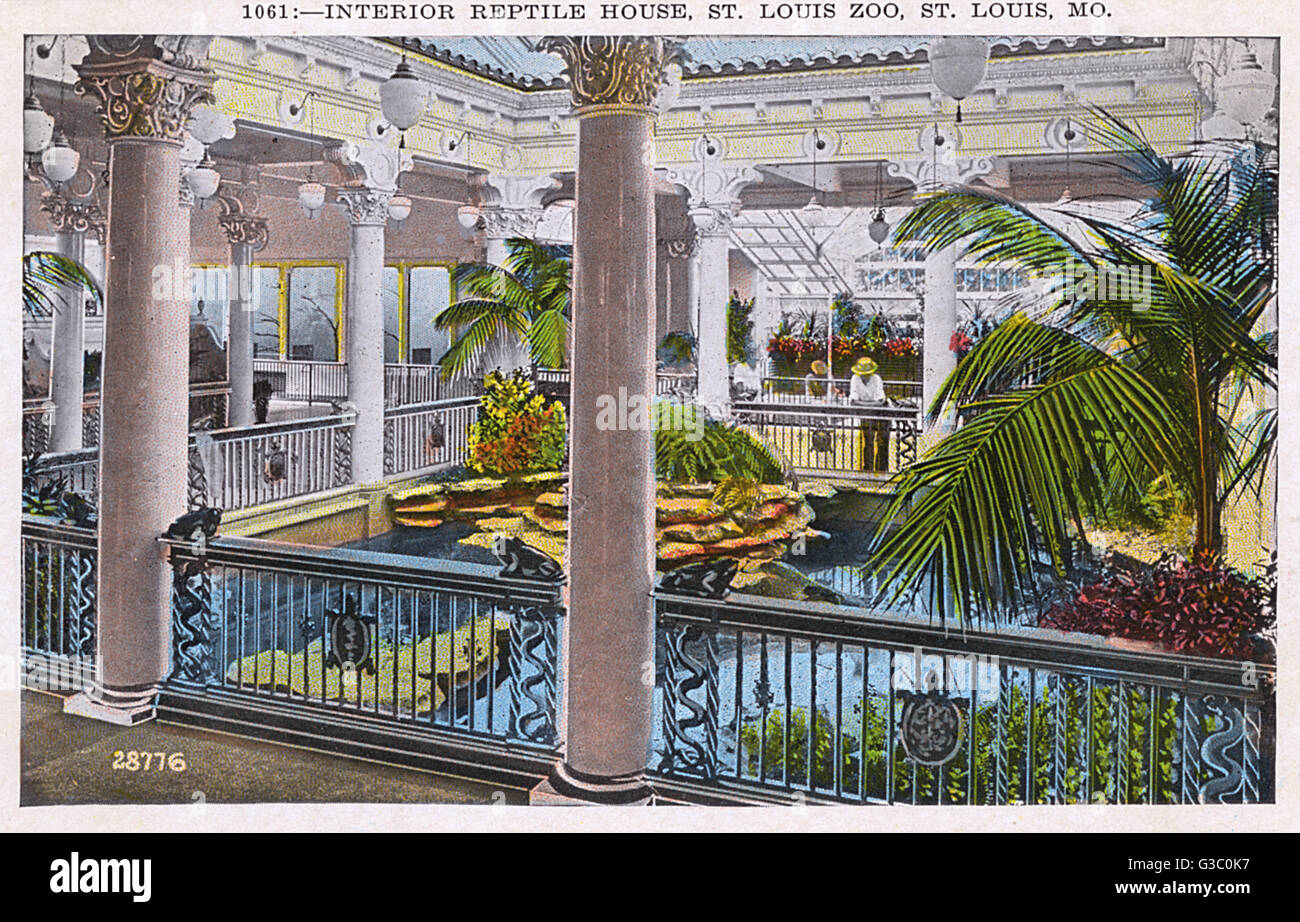 Scene inside the reptile house hires stock photography and images Alamy