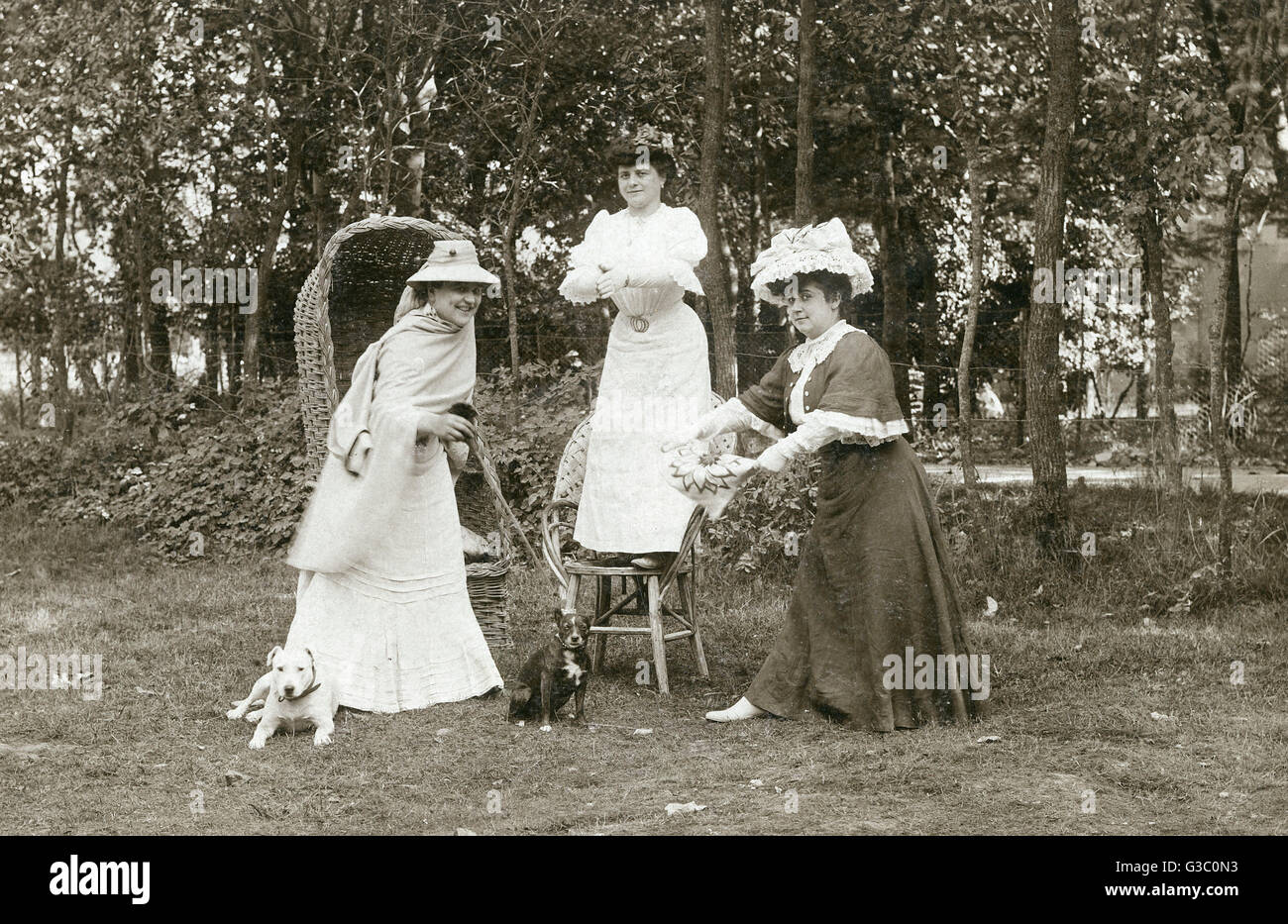 Three women and two dogs in a garden Stock Photo - Alamy
