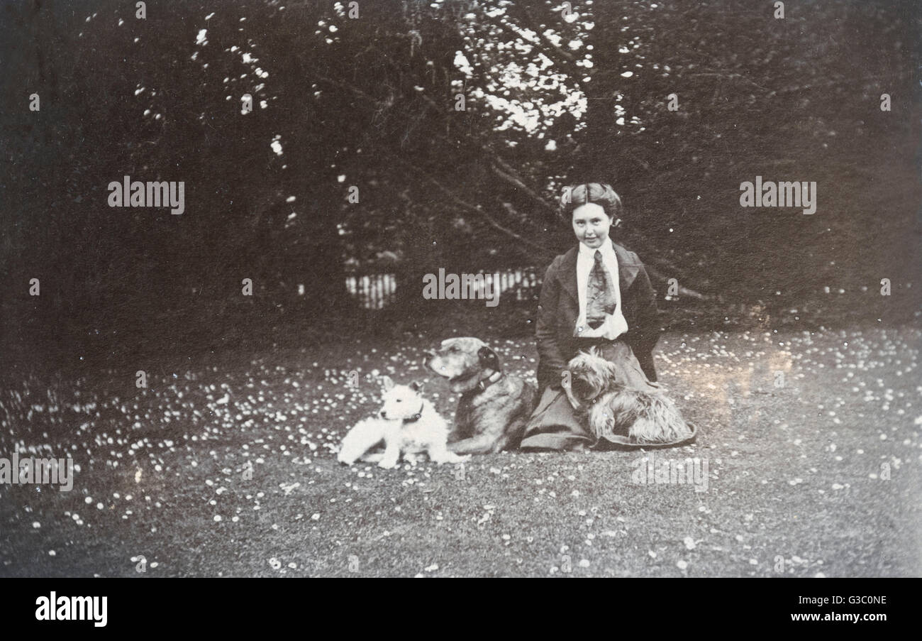 Young woman and three dogs in a garden Stock Photo - Alamy