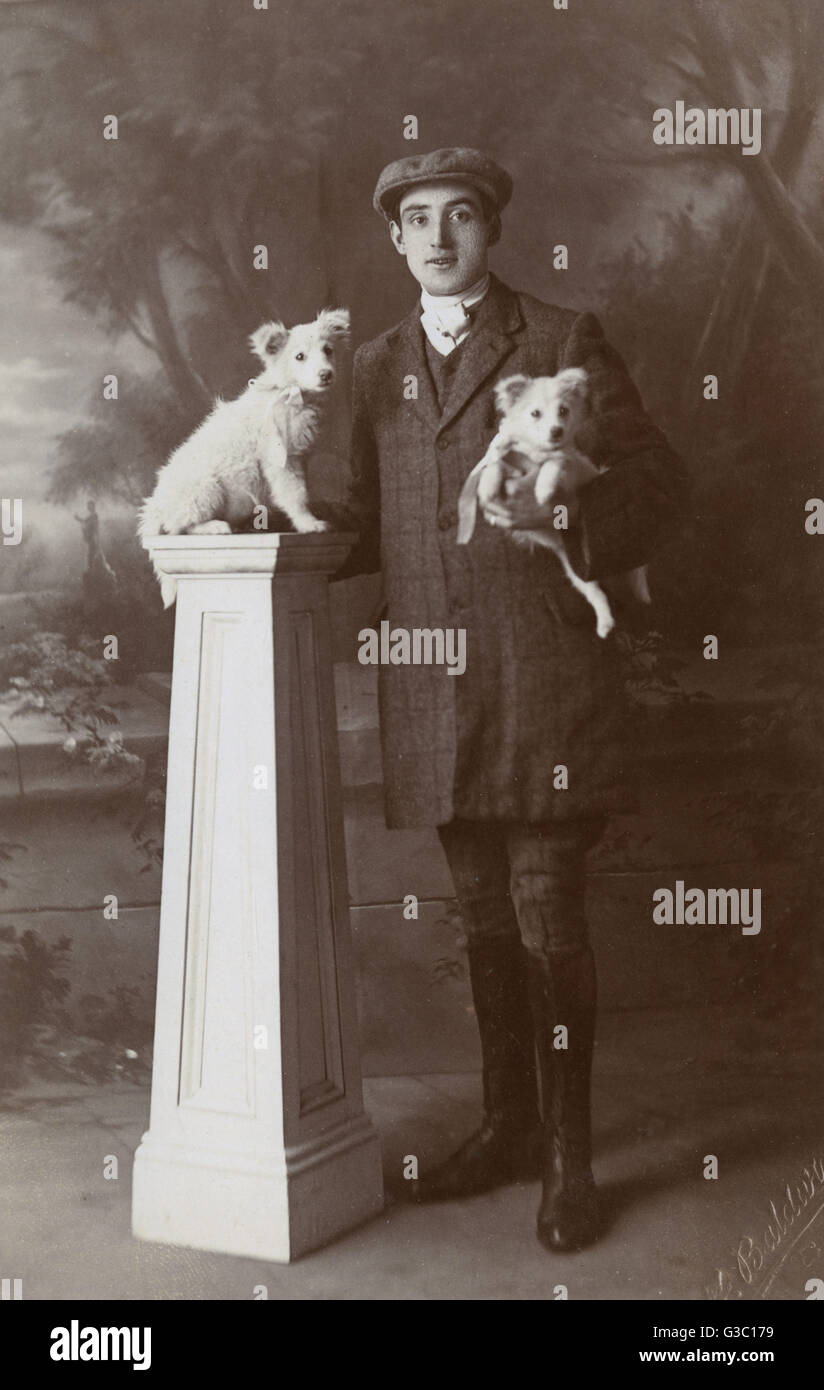 Studio portrait, young man with two little dogs Stock Photo