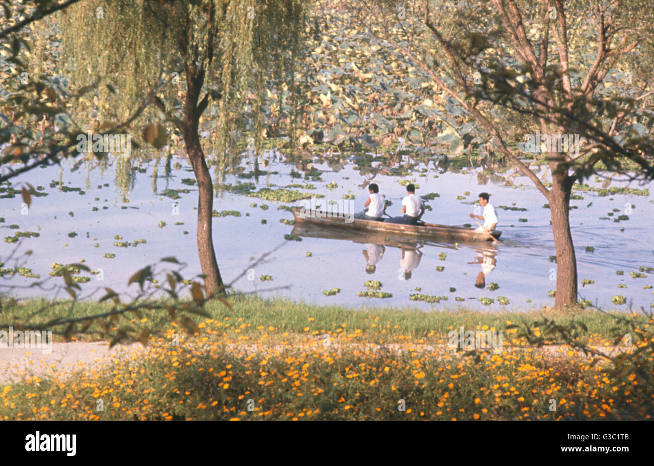 Boating on a lake near Nanking (Nanjing), China Stock Photo