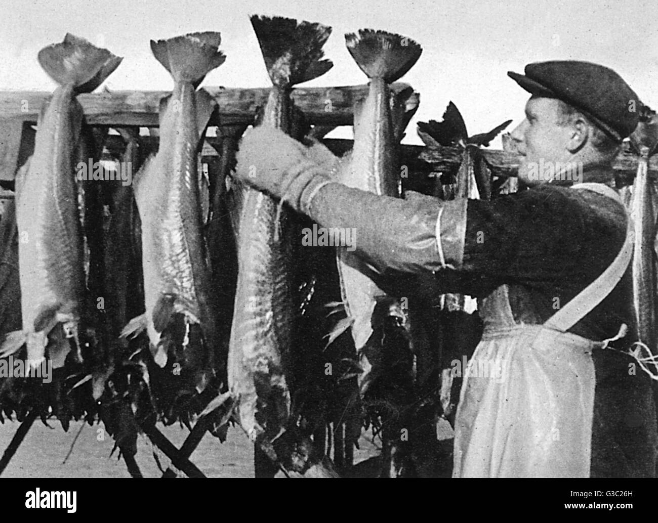 The Lofoten Islands, Norway, 1941 Stock Photo - Alamy