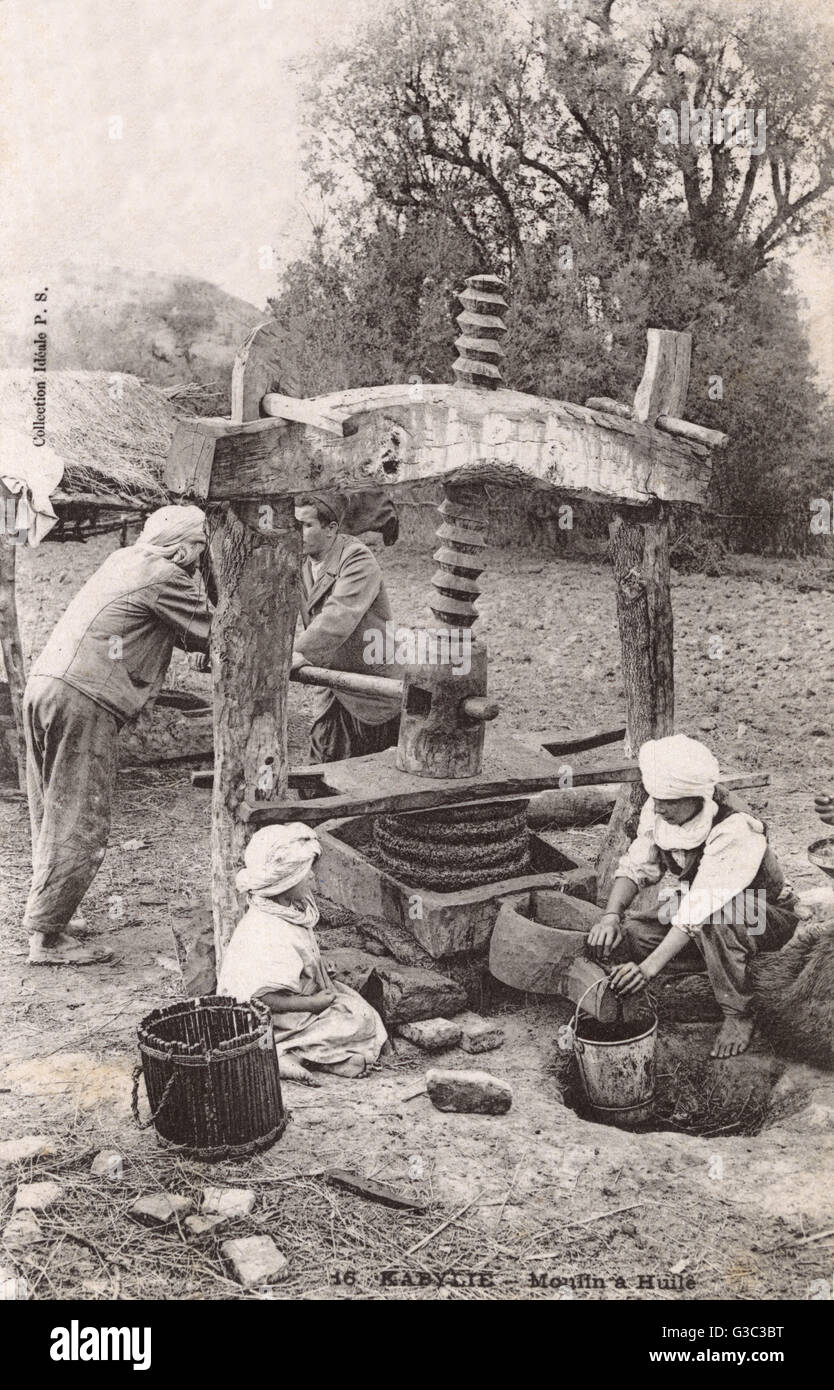 A quite outstanding postcard (incredible detail) showing an olive oil press in operation in the Kabyle Region of Algeria. The Kabyle people are Berbers from North Eastern Algeria - estimated population today of 5 million individuals. This method of produc Stock Photo