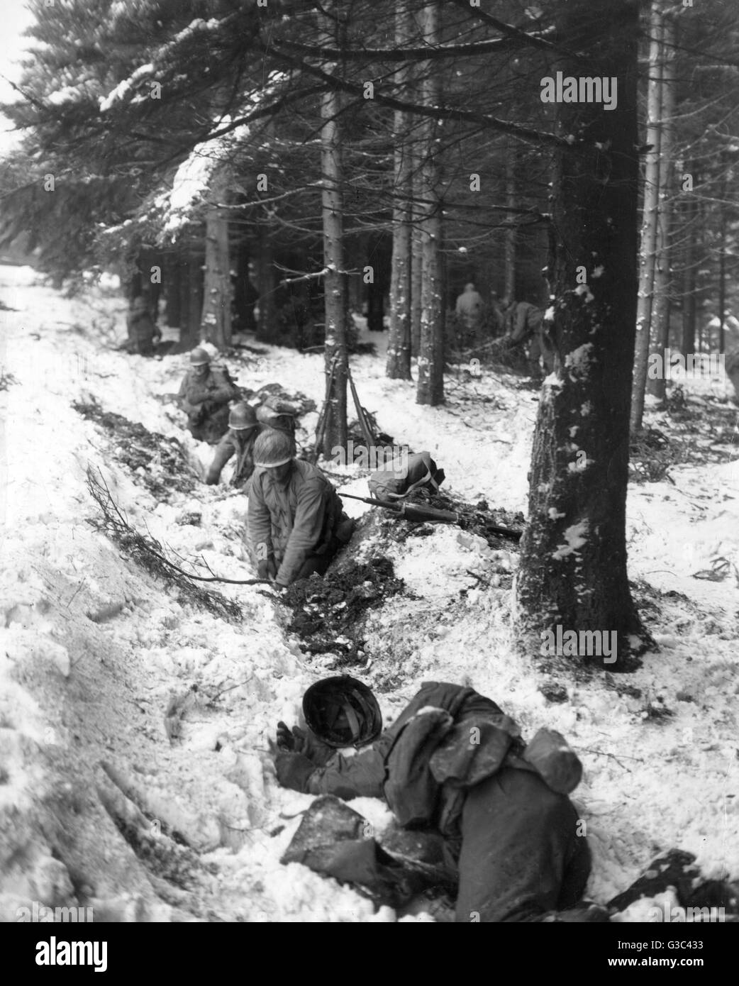 American soldiers dig in on the edge of a forest in the Ardennes region of Belgium, scene of the German counter-offensive in December 1944 that became known as the Battle of the Bulge     Date: December 1944 Stock Photo