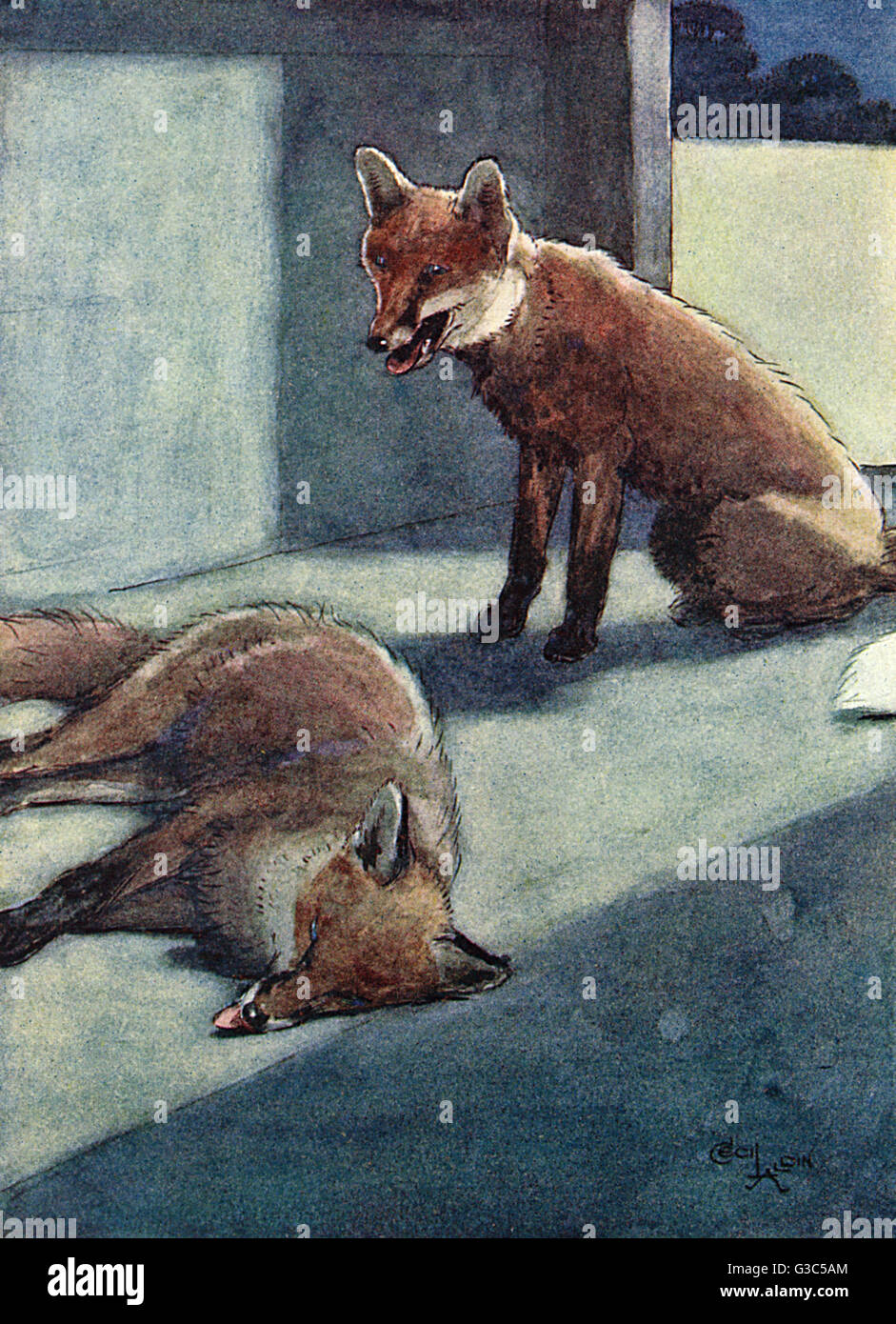 Illustration, White-Ear discovers a dead fox Stock Photo