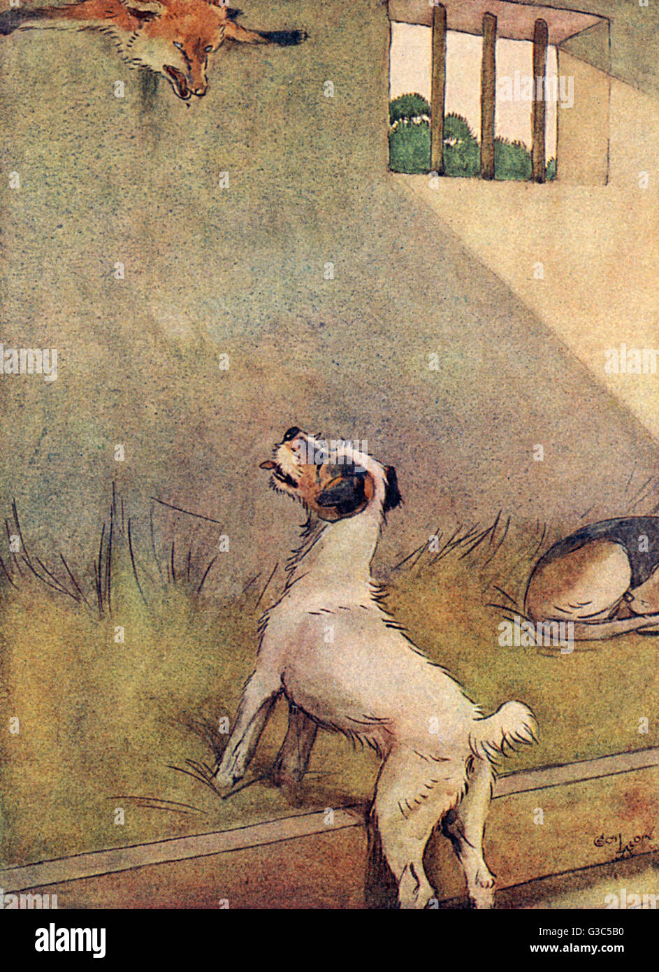 Illustration, Peter looks up at White-Ear's skin Stock Photo