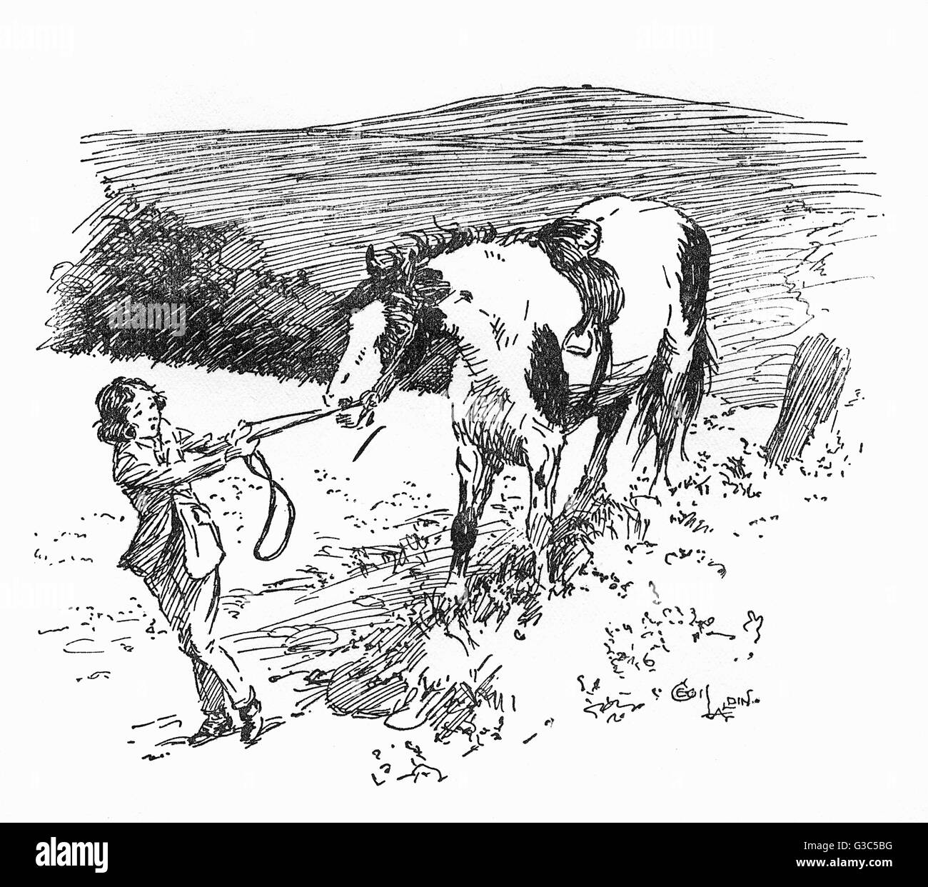 Reins illustration hi-res stock photography and images - Alamy