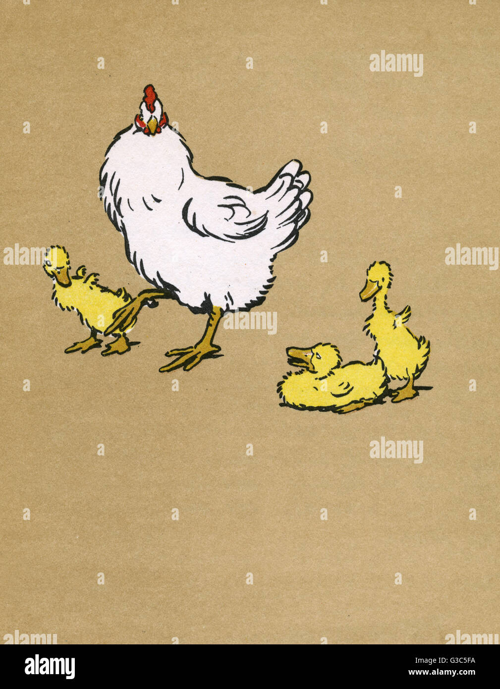 Illustration by Cecil Aldin, Ugly Duckling Stock Photo