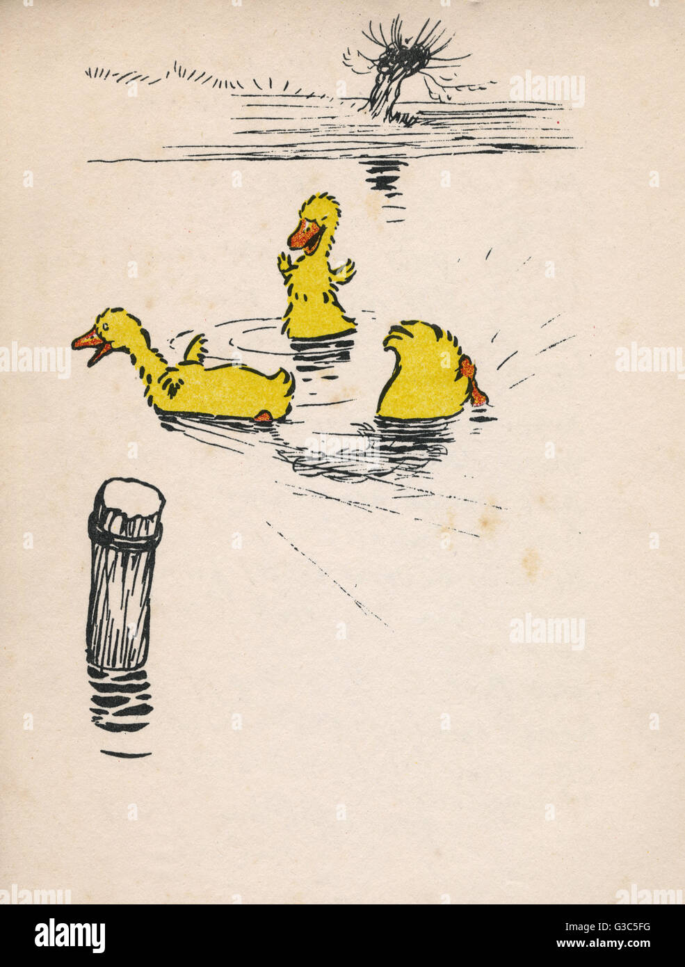 Illustration by Cecil Aldin, Ugly Duckling Stock Photo