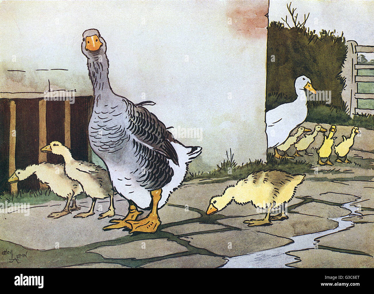 Illustration by Cecil Aldin, Farmyard Friends Stock Photo - Alamy