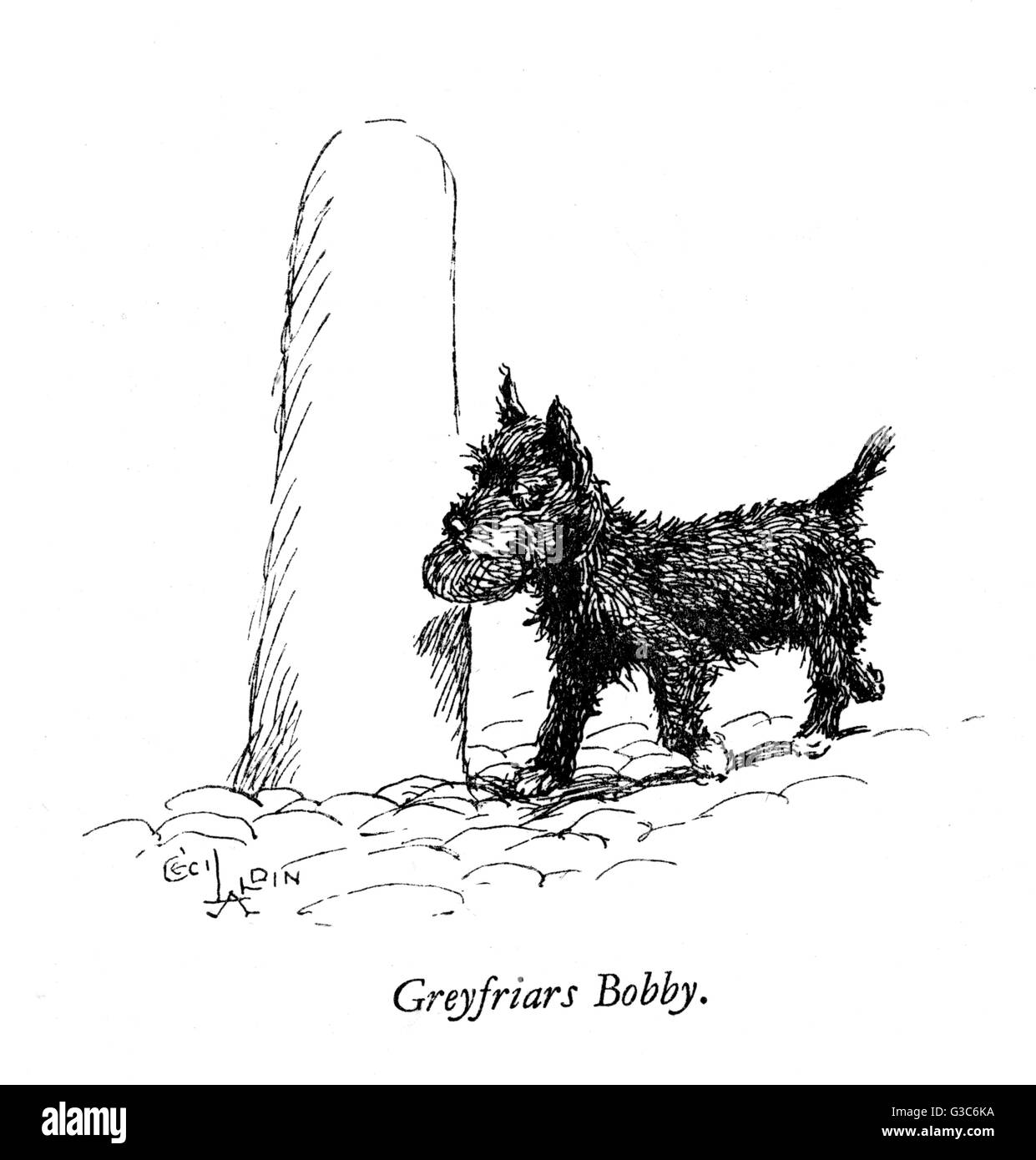 Illustration of Greyfriars Bobby by Cecil Aldin -- the faithful terrier who visited the Edinburgh grave of his master, a farmer named John Gray, for nine years until he died in 1872.       Date: 1932 Stock Photo