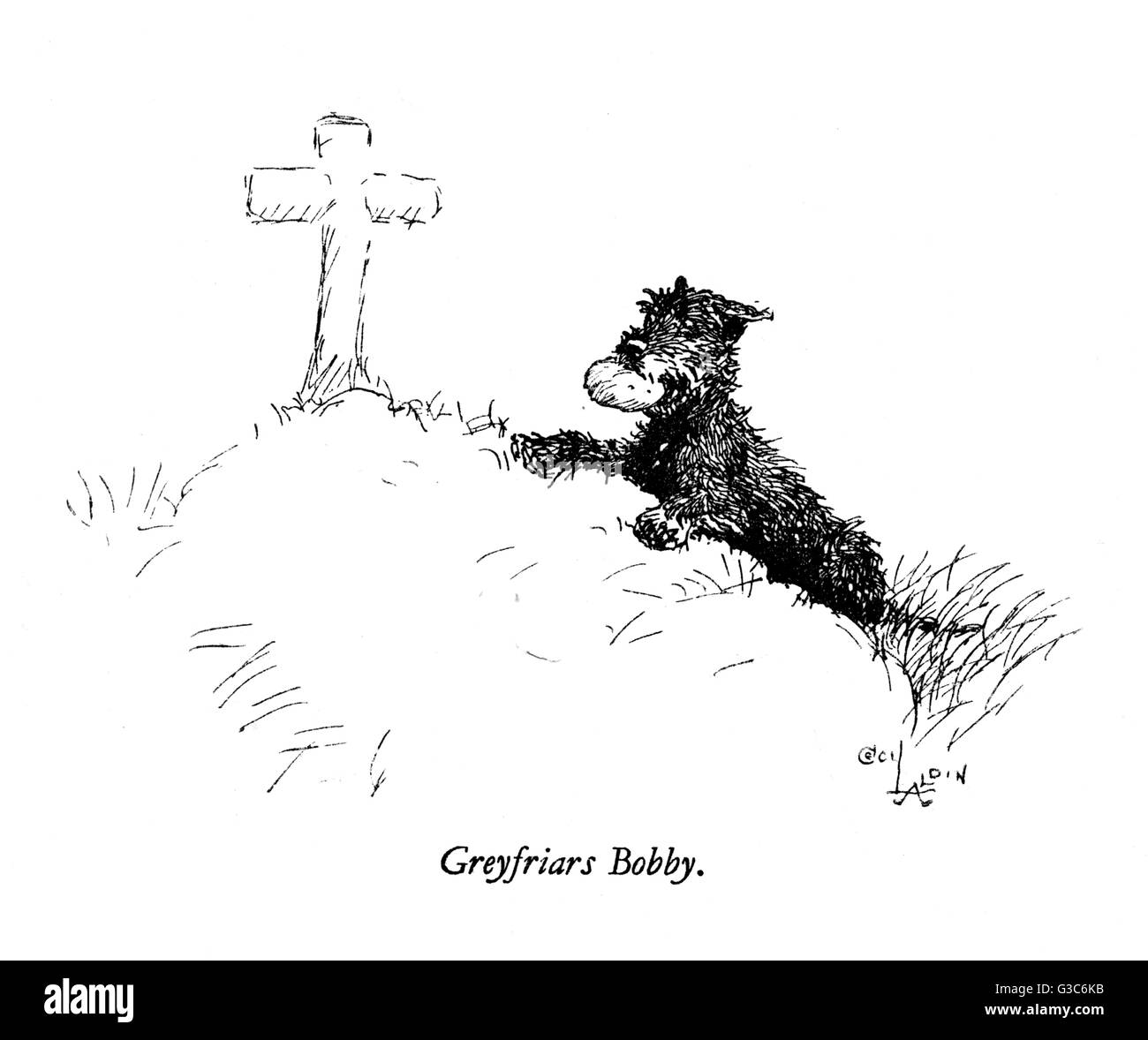 Illustration of Greyfriars Bobby by Cecil Aldin -- the faithful terrier who visited the Edinburgh grave of his master, a farmer named John Gray, for nine years until he died in 1872.      Date: 1932 Stock Photo