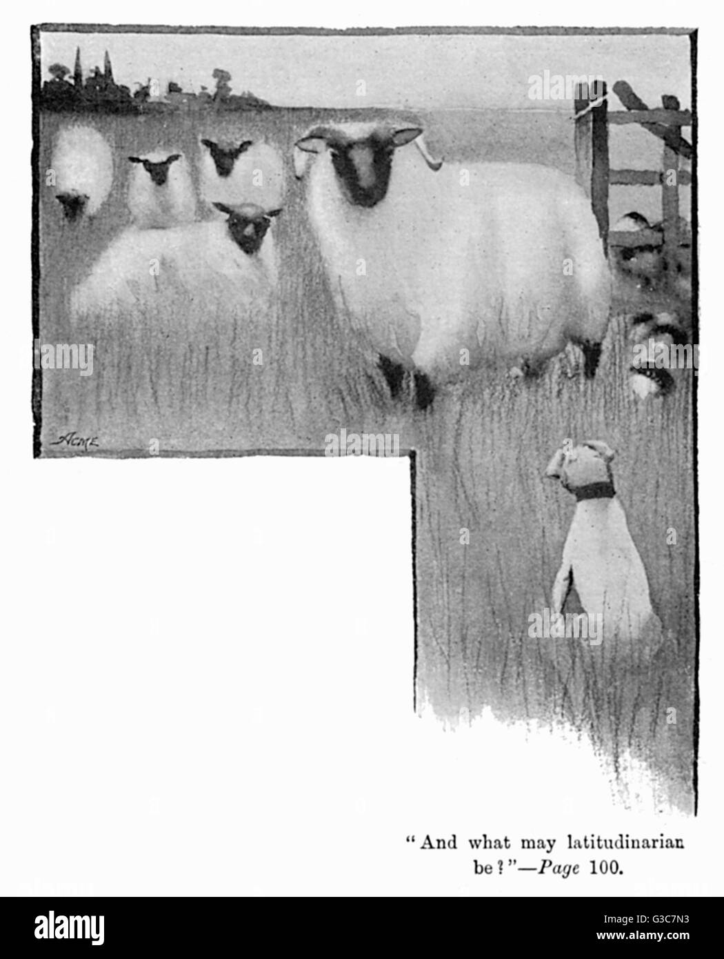 Illustration by Cecil Aldin, Spot meets a ram and some sheep in a field, and has a theological conversation.  &quot;And what may latitudinarian be?&quot;       Date: 1895 Stock Photo