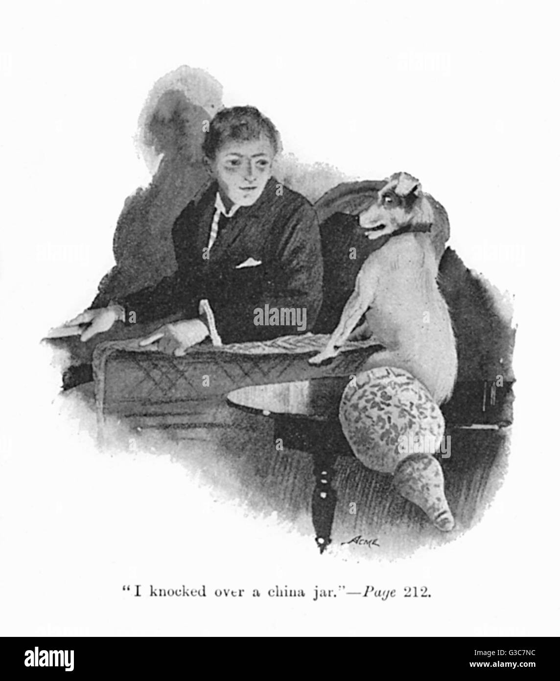Illustration by Cecil Aldin, Spot finds his way home to his master.  &quot;I knocked over a china jar.&quot;      Date: 1895 Stock Photo