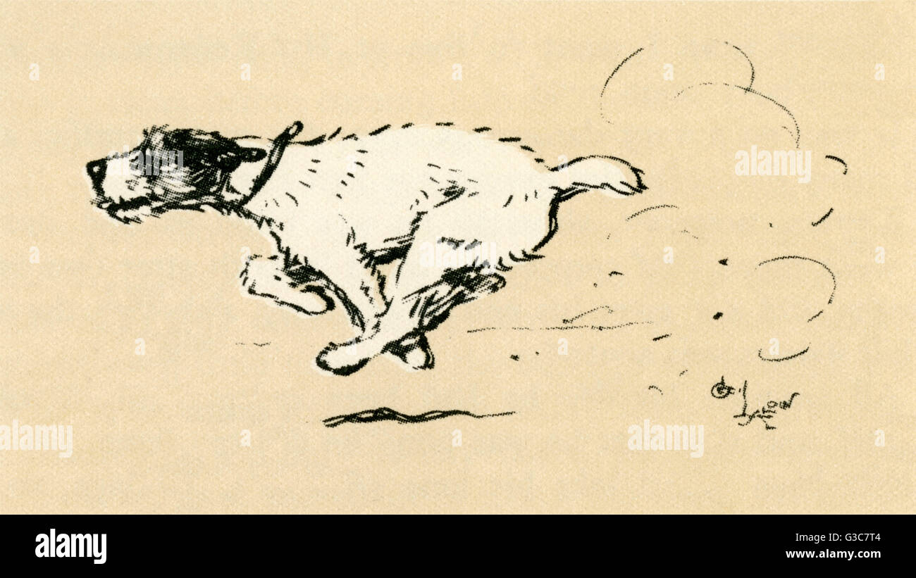 Illustration by Cecil Aldin -- Tatters, a wire-haired fox terrier, not wishing to be left behind, chasing his master's car on hearing the horn sounding.      Date: 1927 Stock Photo