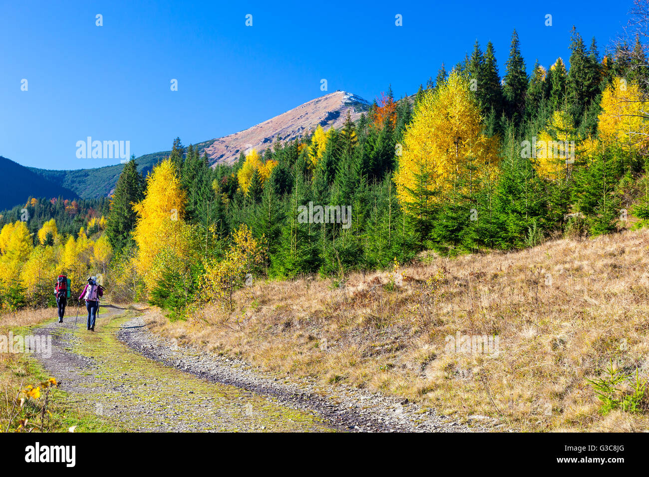 Two female hikers on trail hi-res stock photography and images - Alamy