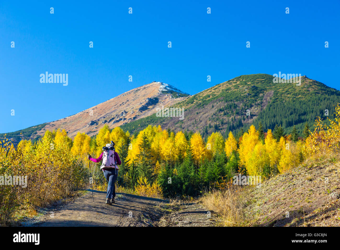 Female hiker forest path hi-res stock photography and images - Alamy