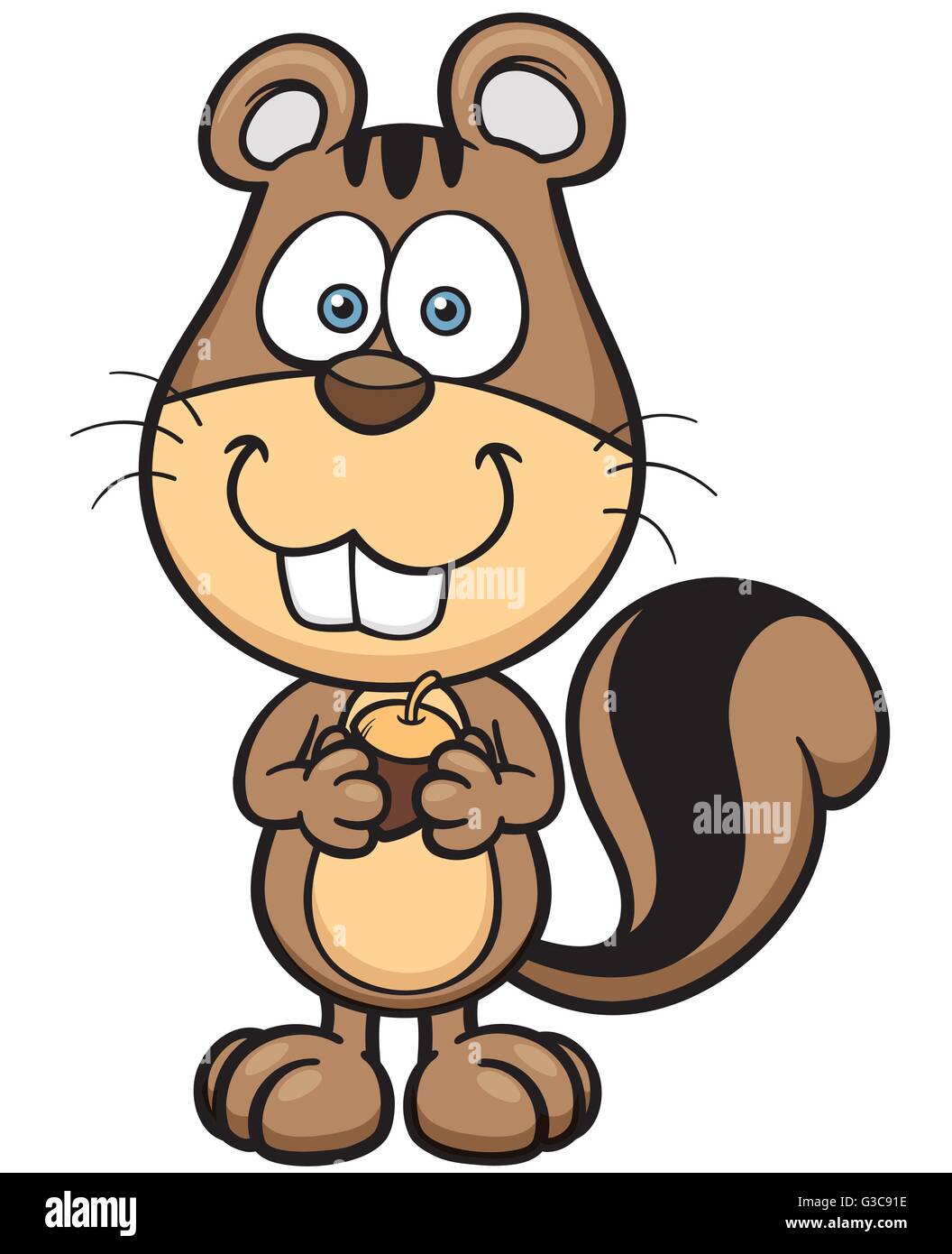 Vector illustration of Cartoon Squirrel Stock Vector Image & Art Alamy