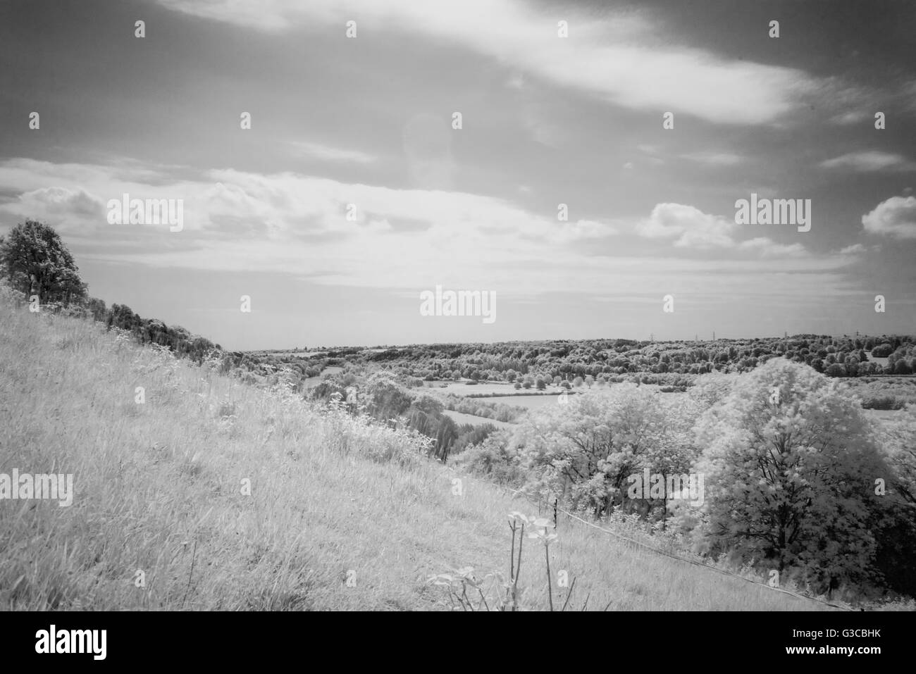 View of the Thames Valley at Hartslock, Oxfordshire, UK. Using a R72 infra-red filter to eliminate most of the visible spectrum. Stock Photo