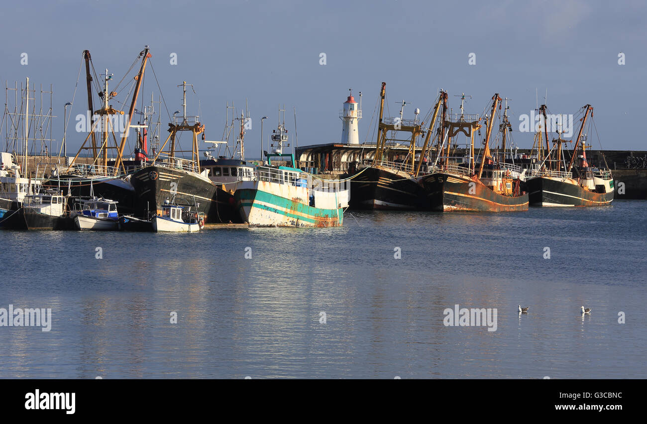 Fishing trawlers in the harbour at Newlyn, Cornwall, England, UK. Stock Photo