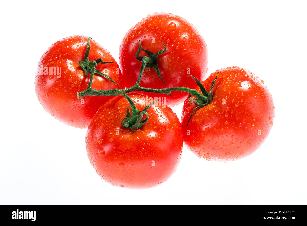 Tomatoes on white background Stock Photo