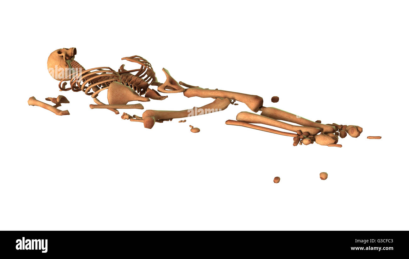 3D rendering of parts of a human skeleton isolated on white background ...