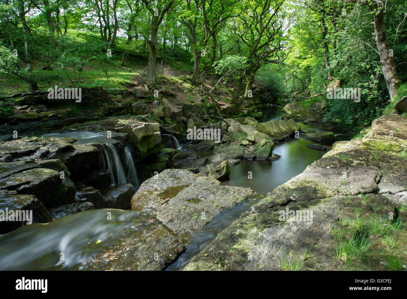 A long exposure of Nelly Ayre Foss on the West Beck just outside of Goathland, North Yorkshire Stock Photo