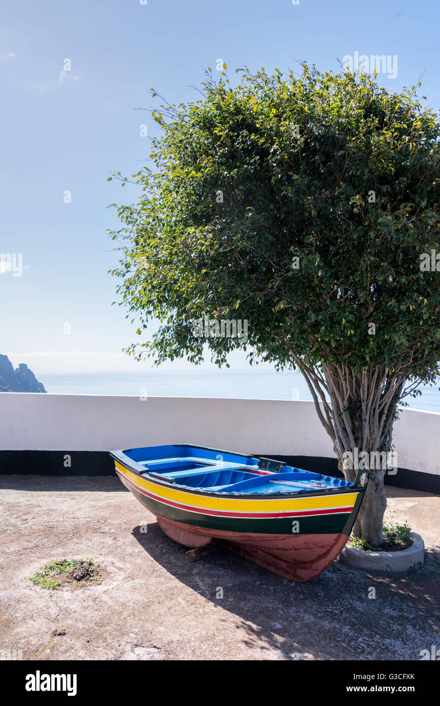 olive tree and blue yellow and red painted boat at ocean coastline on madeira island Stock Photo