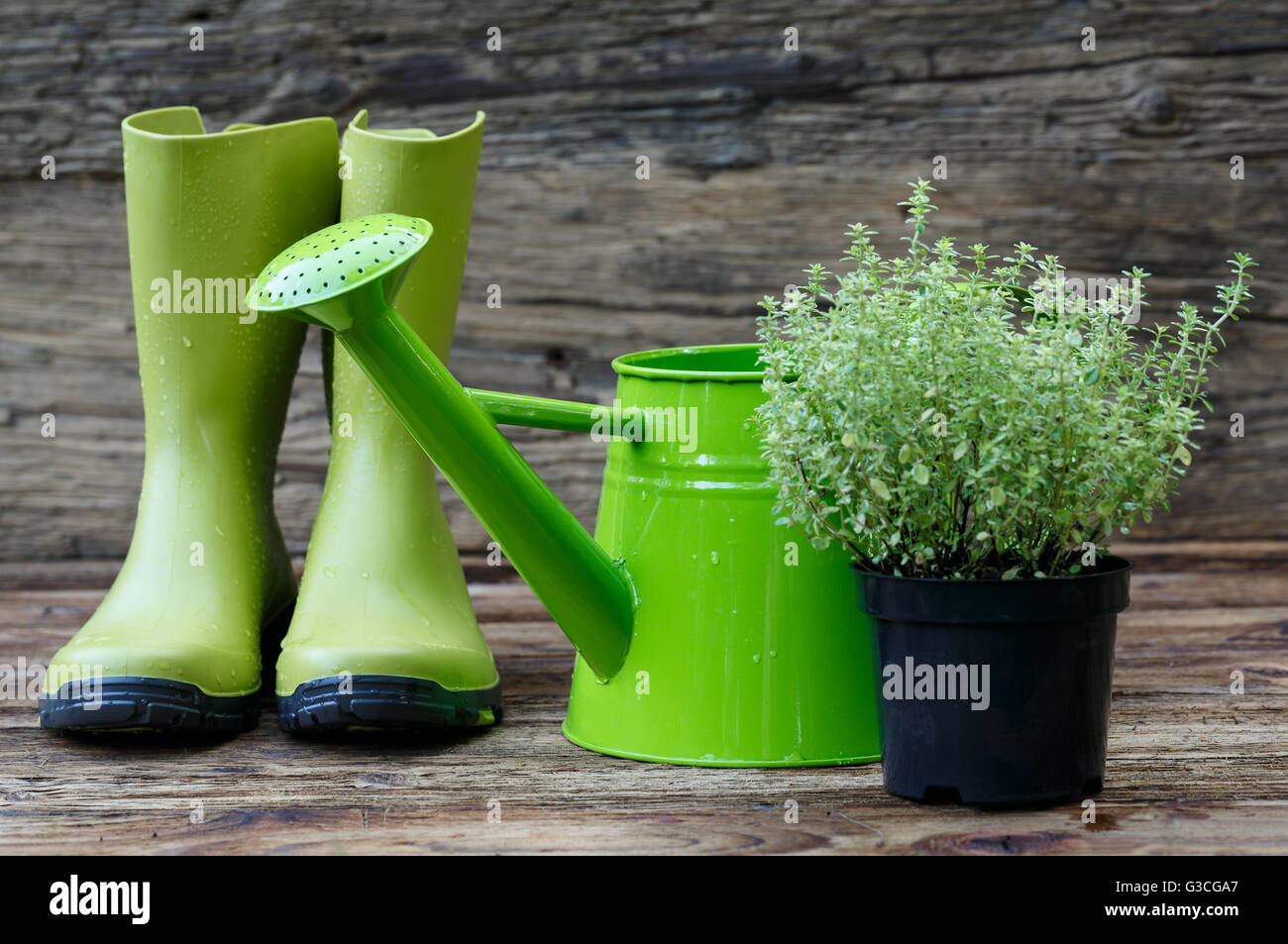 Gardening tools on old wooden planks Stock Photo