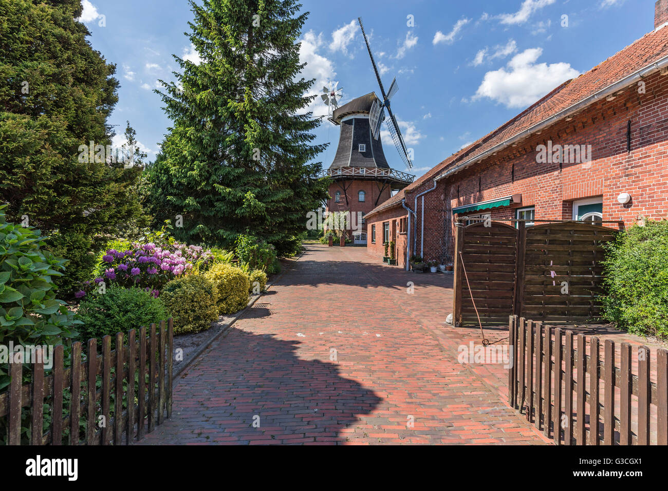 Windmill in Möhlenwarf, Weener, East Frisia, Stock Photo