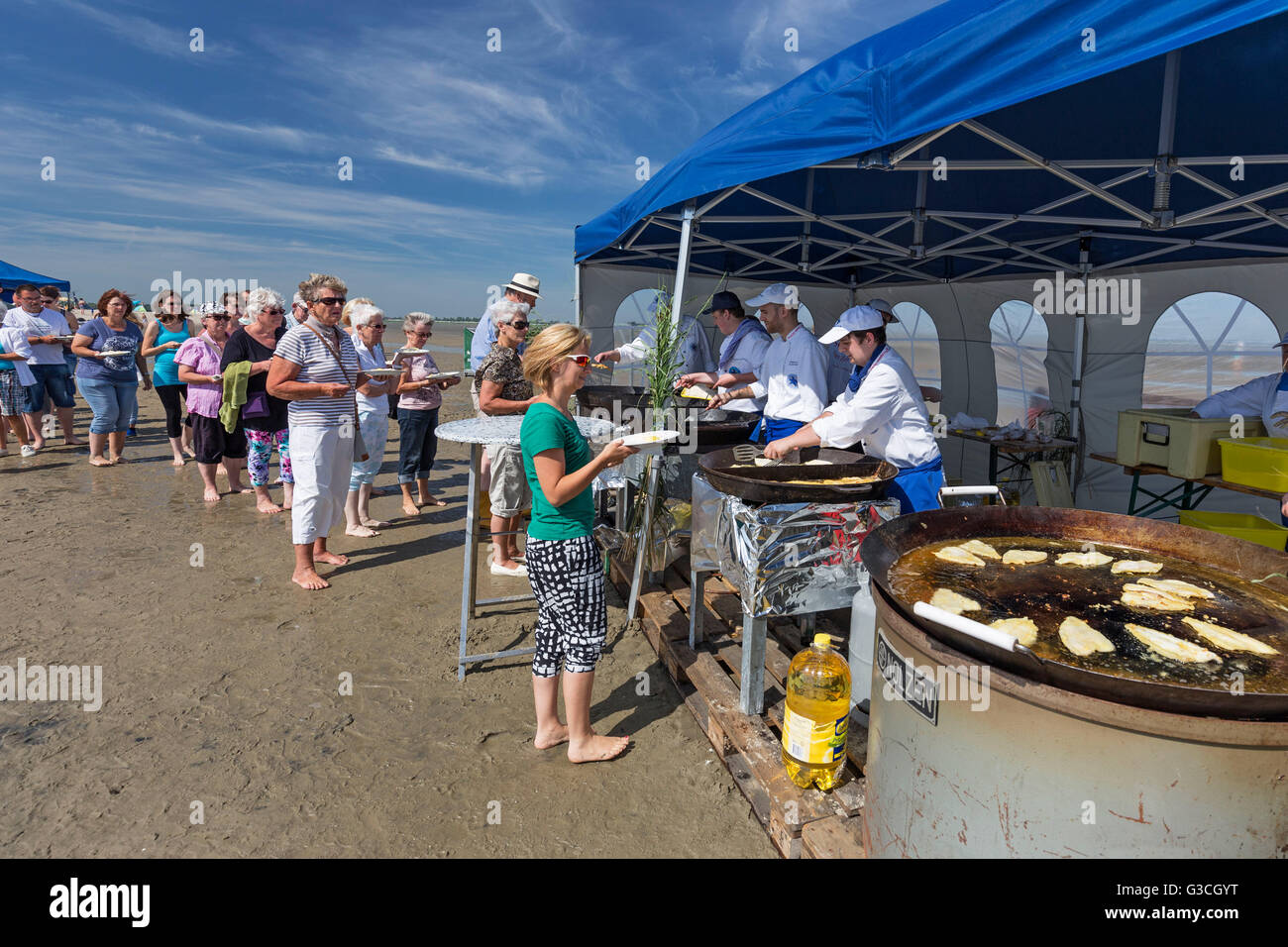 fillets of plaice in the pan, roasting plaice in the mudflat in front of Hooksiel, district of the municipality Wangerland, district of Friesland, Stock Photo
