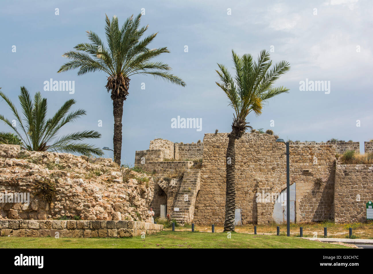 Israel, Akko, old town, port town, old town wall, city wall, town gate, palms, Stock Photo
