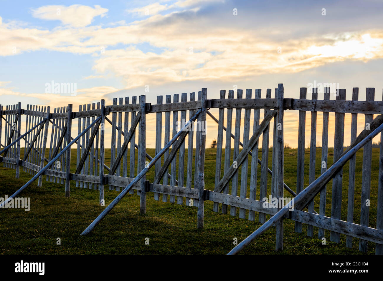 Snow fence in the evening, nature, landscape, winter, Stock Photo