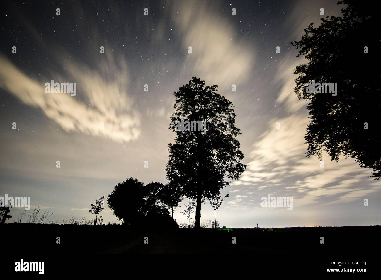 Night trees hi-res stock photography and images - Alamy