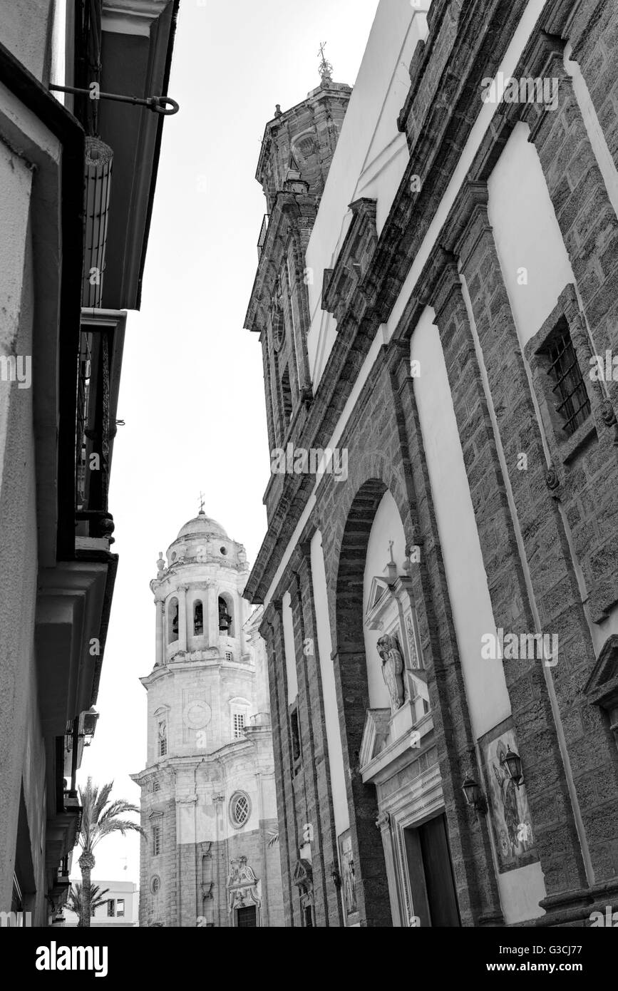 Facade church Santiago, bell tower cathedral, Cadiz, Andalusia, Spain, Europe Stock Photo