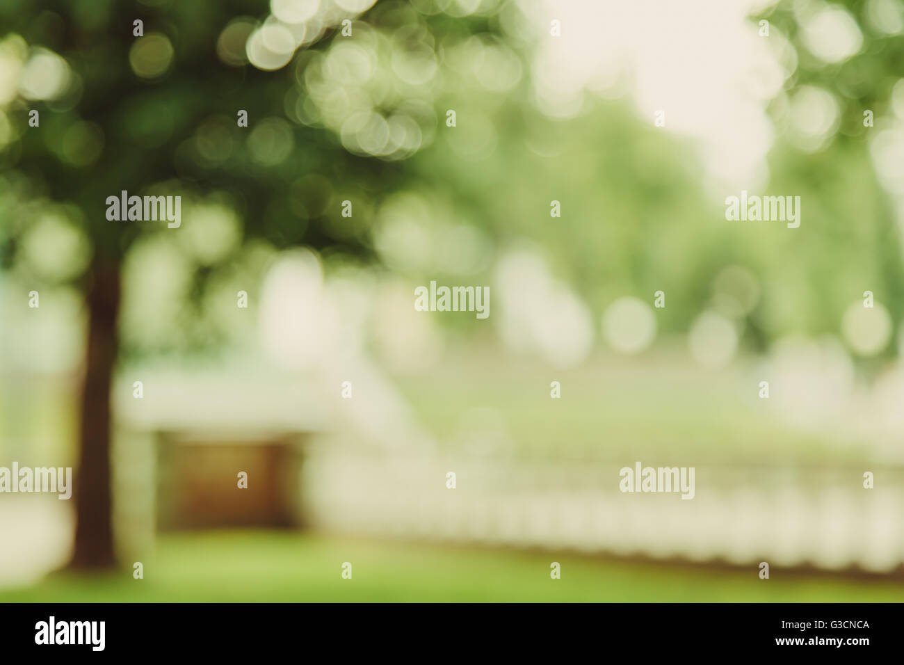 Garden alley bokeh background, lens blur Stock Photo