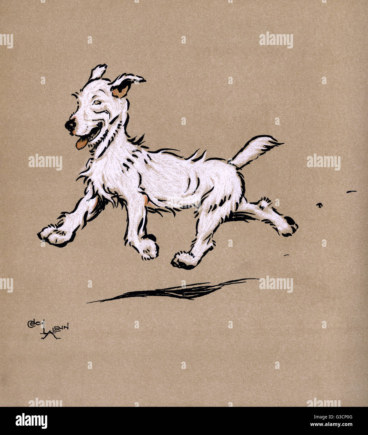 Illustration by Cecil Aldin, The Mongrel Puppy Book Stock Photo