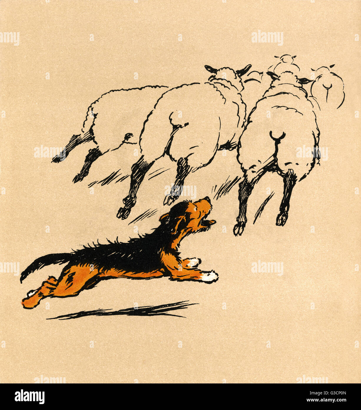Illustration by Cecil Aldin, The Mongrel Puppy Book Stock Photo