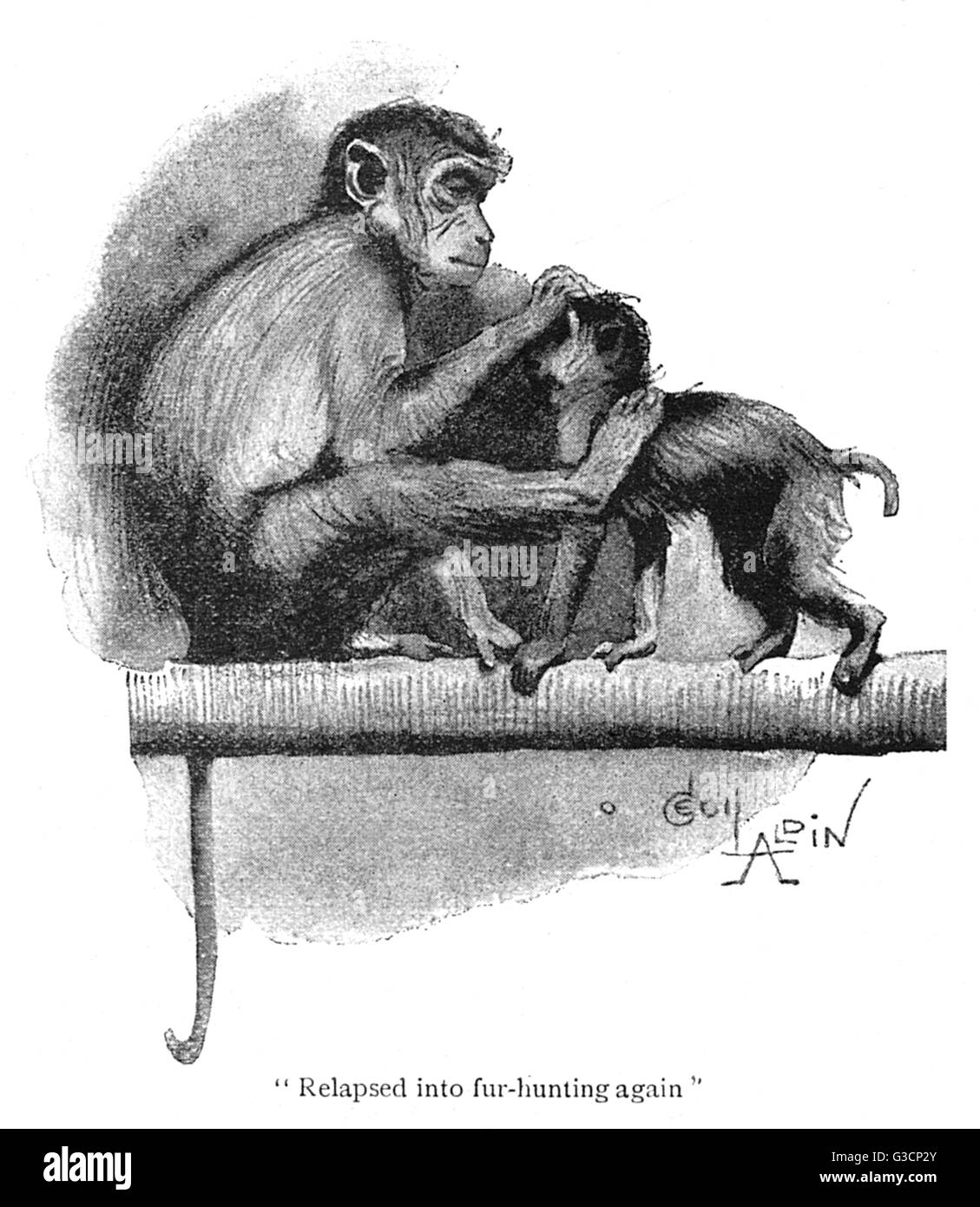 Illustration, two monkeys in a zoo Stock Photo