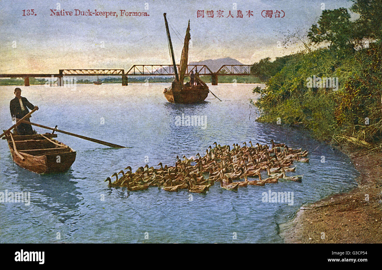 Formosa Native Taiwan (Formosa) - Native Duck Keeper herding his flock Stock Photo - Alamy