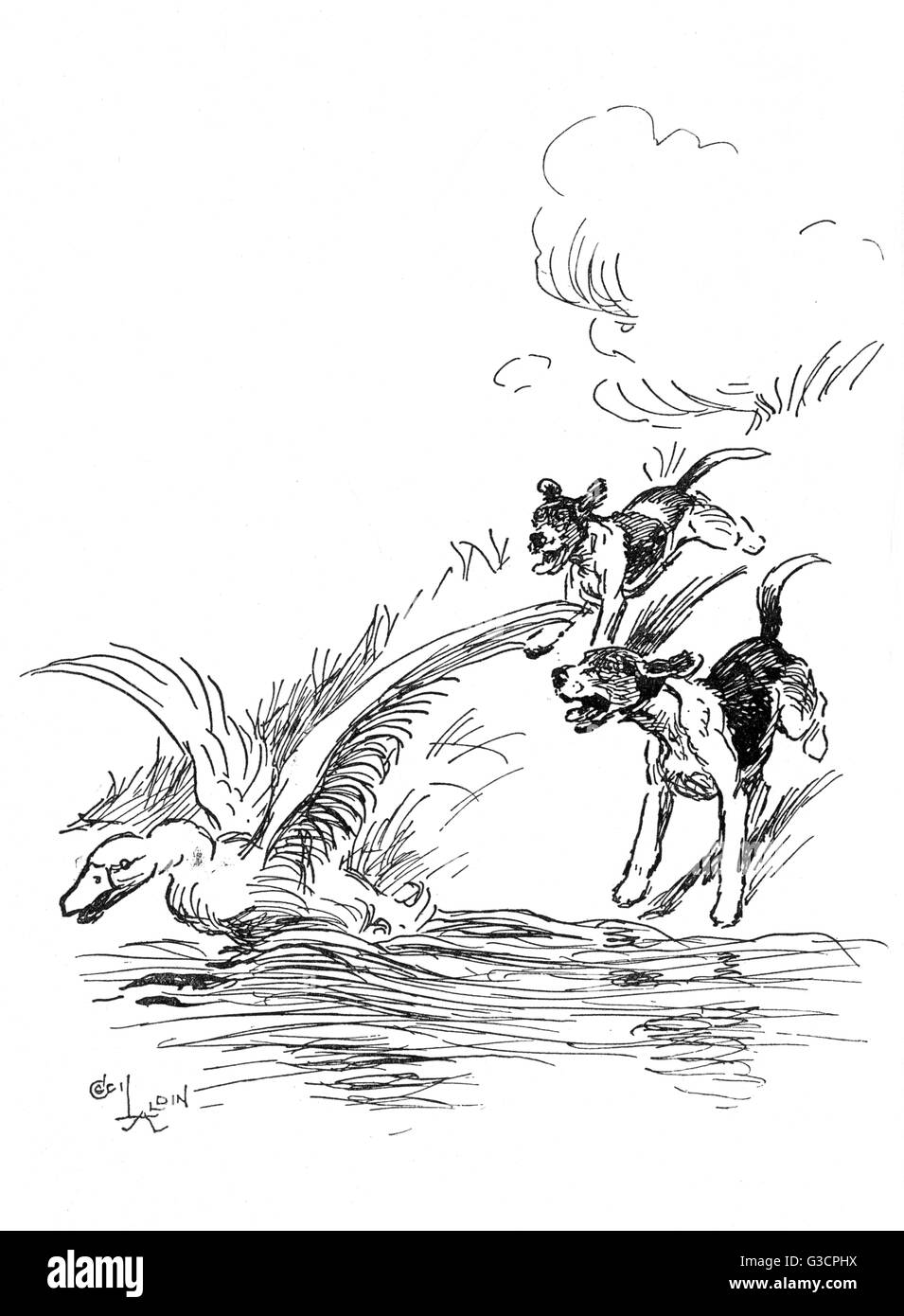 Illustration by Cecil Aldin, Hotspur the Beagle Stock Photo