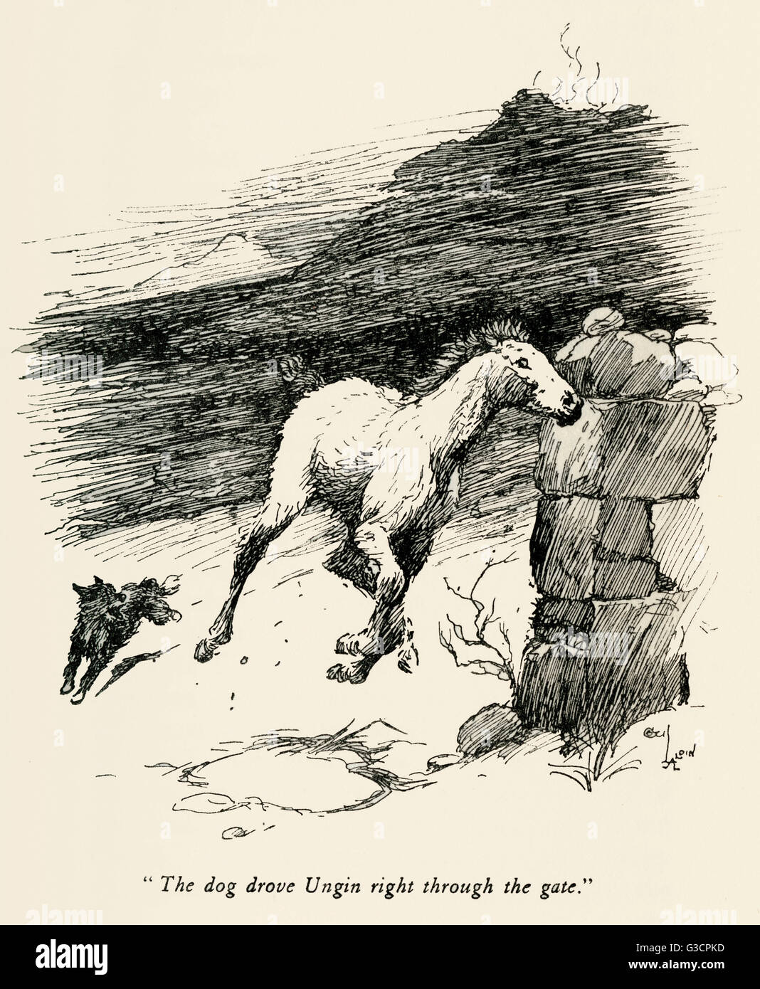 Illustration by Cecil Aldin, The Wild Horses of Iceland Stock Photo