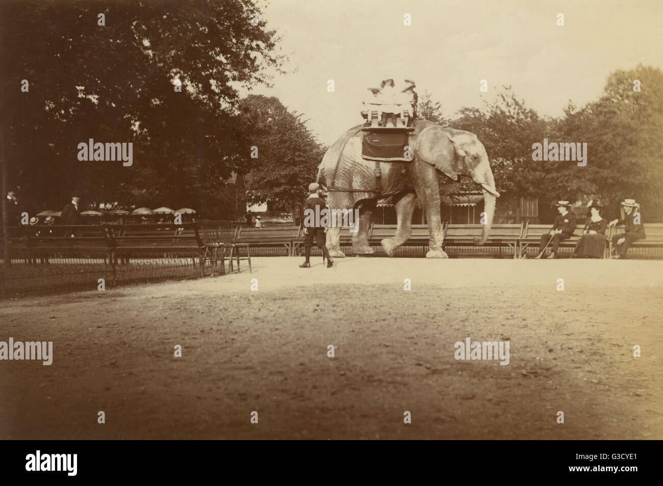 Elephant Ride - London Zoological Gardens, Regent's Park Stock Photo