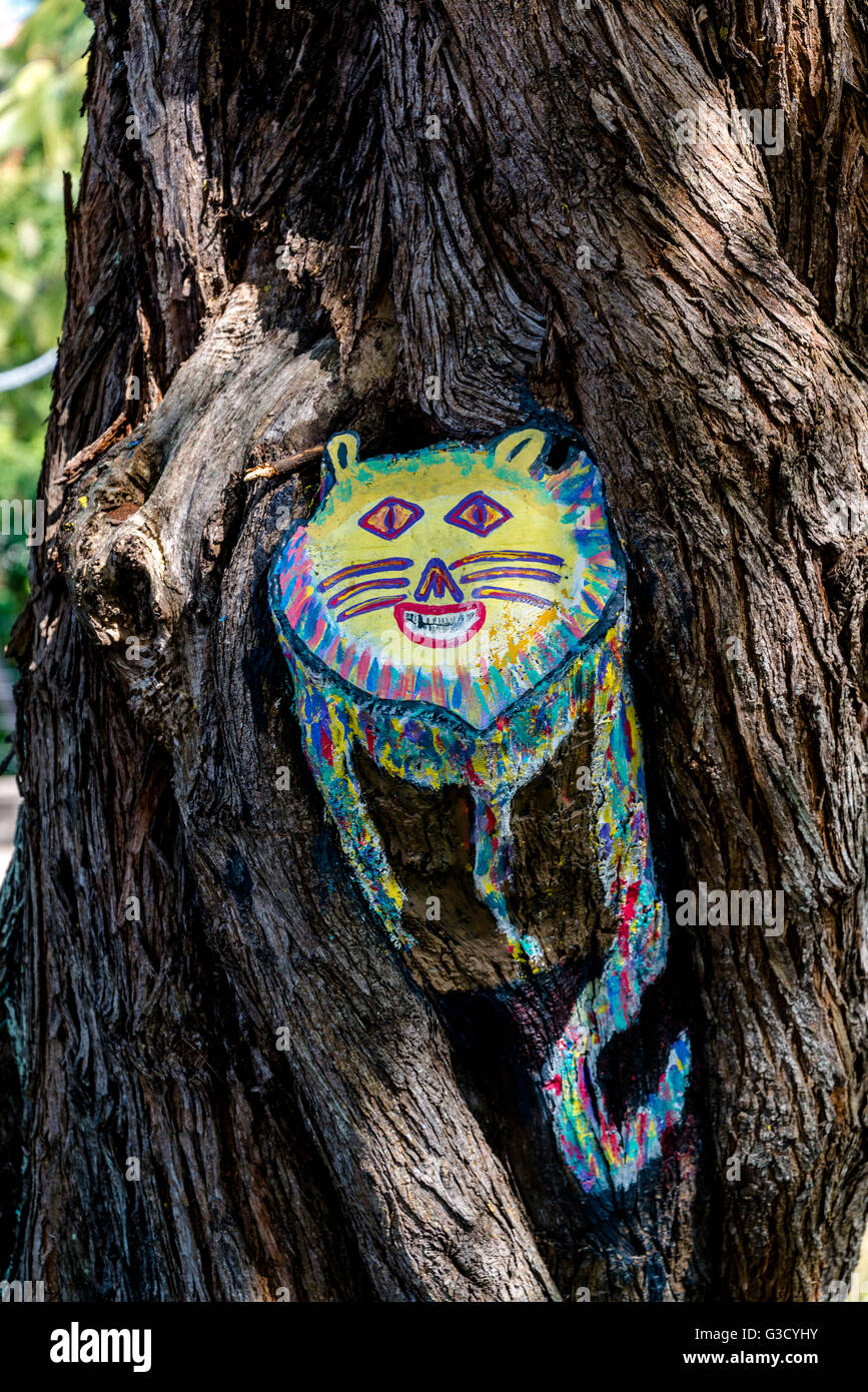 Cheshire cat, Olinda, Pernambuco, Brazil Stock Photo
