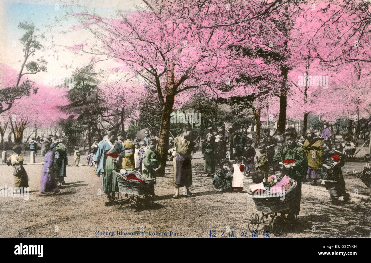 Yokohama, Japan - Cherry Blossom in the Park Stock Photo