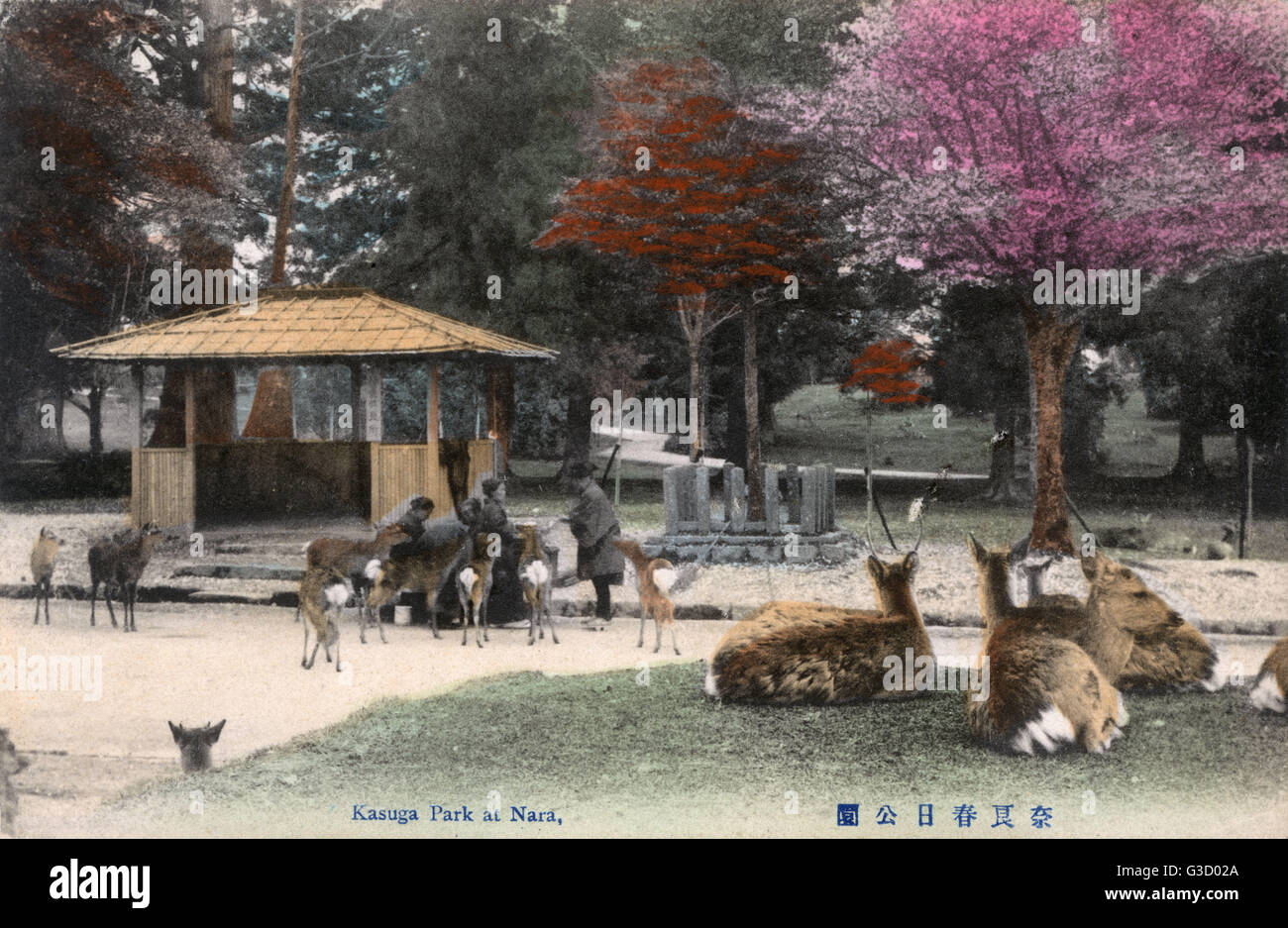 Shinto Kasuga Shrine at Nara, Japan - The Deer Park Stock Photo