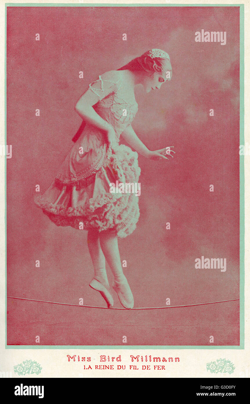 Bird millman hires stock photography and images Alamy