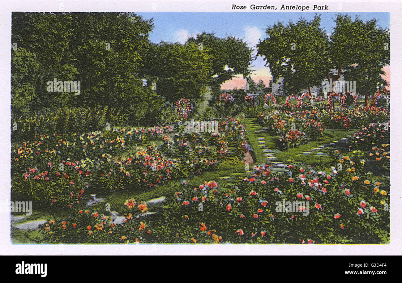Rose Garden, Antelope Park, Lincoln, Nebraska, USA Stock Photo Alamy