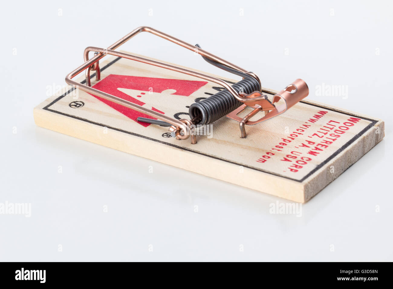 Close up of new Woodtsream mouse trap, with spring trigger set, on a white  reflective surface Stock Photo - Alamy
